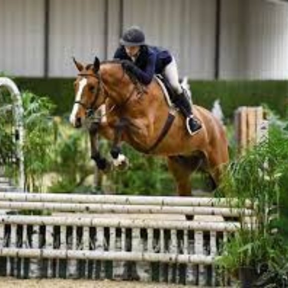 Heart Diamond Farm - Picture 12 of 15